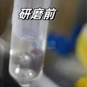 必看！全自動浸入式液氮冷凍研磨儀高效研磨小鼠肝臟提取DNA實操指南