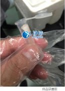 多樣品組織研磨儀研磨眼結(jié)膜提取rna實驗