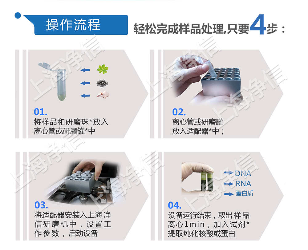 上海凈信組織研磨機(jī)助理中國(guó)海關(guān)抗擊非洲豬瘟！！！