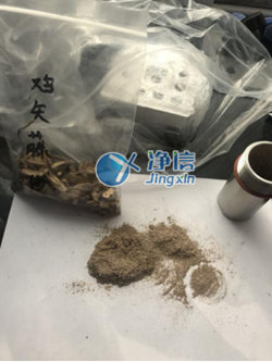 多樣品組織研磨儀進行雞矢藤實驗研磨前